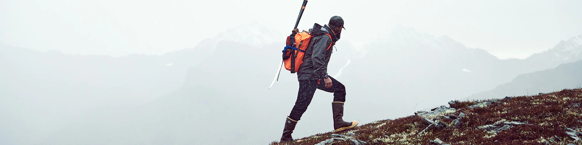 Bestseller of the Week